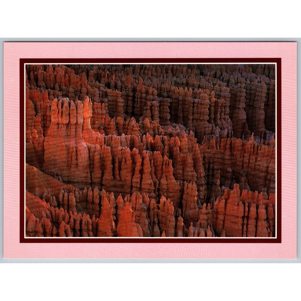 Postcard Bryce Canyon National Park Silent City Large Print Photo 8"x5.75" Utah